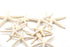 creamy white finger starfish
